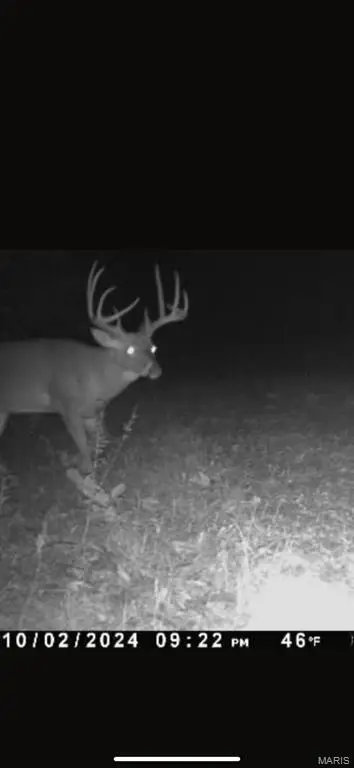 3040 Texaco Ln, Salem, IL 62881 - Image #2