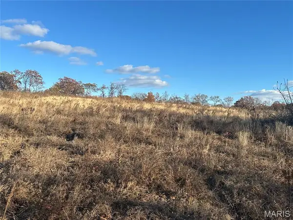 11918 Springtown Rd, Mineral Point, MO 63660