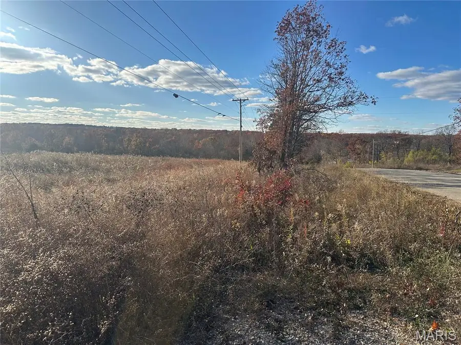 11918 Springtown Rd, Mineral Point, MO 63660 - Image #2