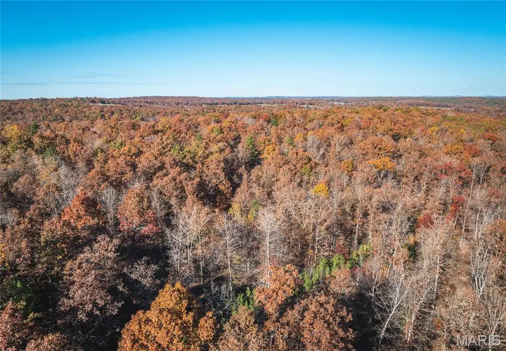 00 County Road 748, Centerville, MO 63633 - Image #1