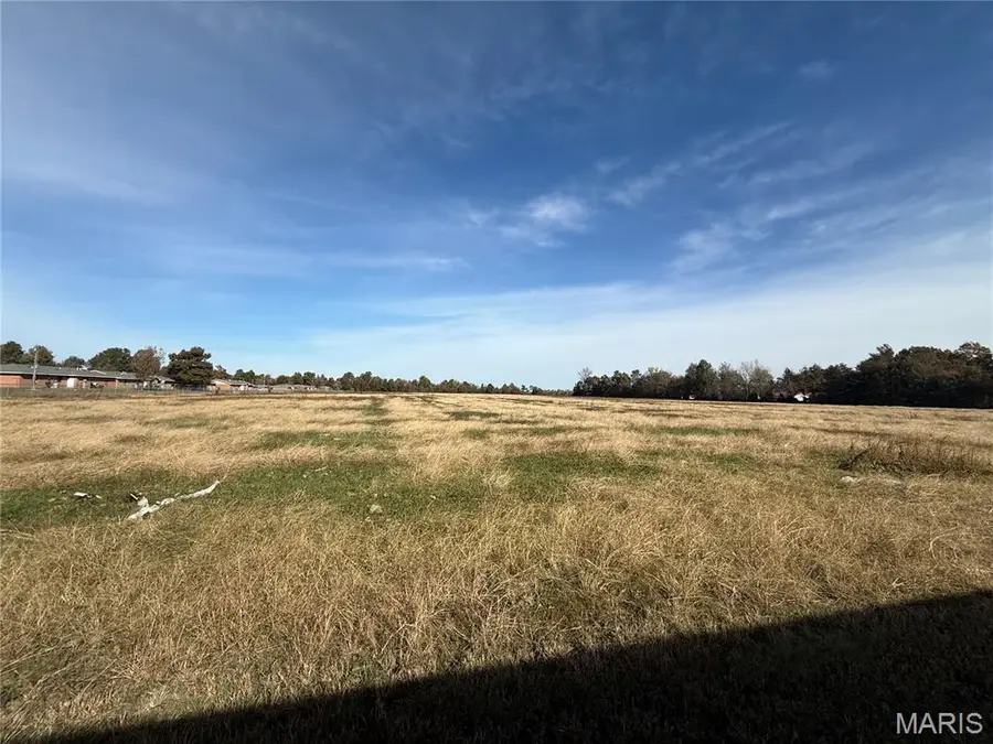 1602 W Washington, Hayti, MO 63851 - Image #2