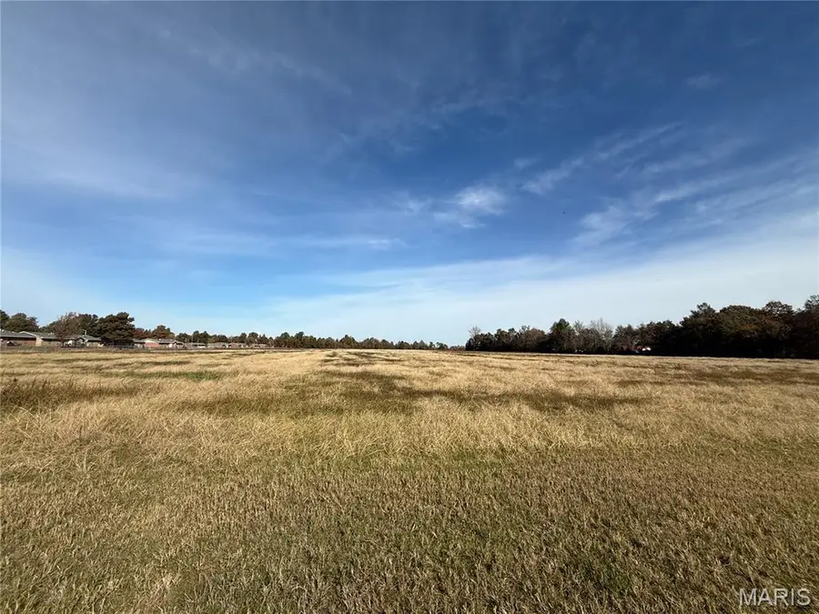 1602 W Washington, Hayti, MO 63851 - Image #3