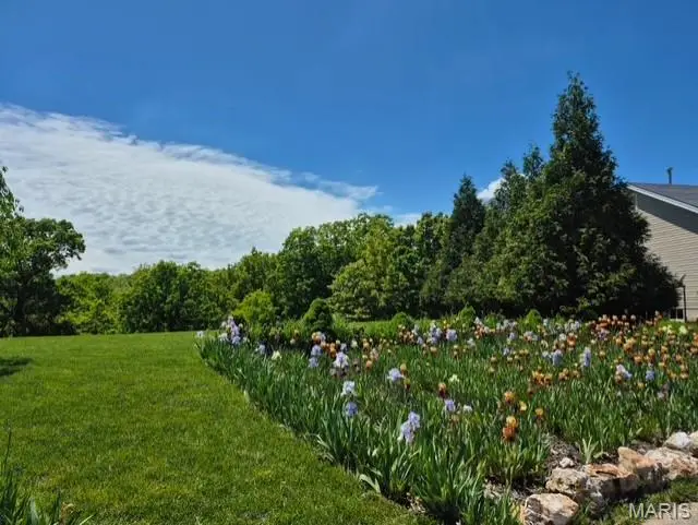 11 Fox Trotter Court, High Ridge, MO 63049 - Image #2