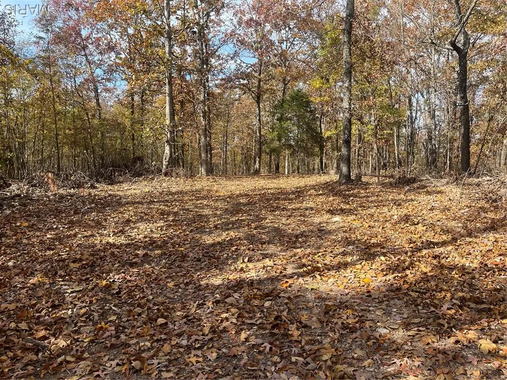 0 Forest Road 3123, Williamsville, MO 63967 - Image #1