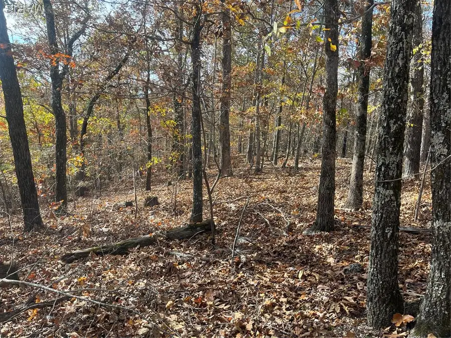 0 Forest Road 3123, Williamsville, MO 63967 - Image #2