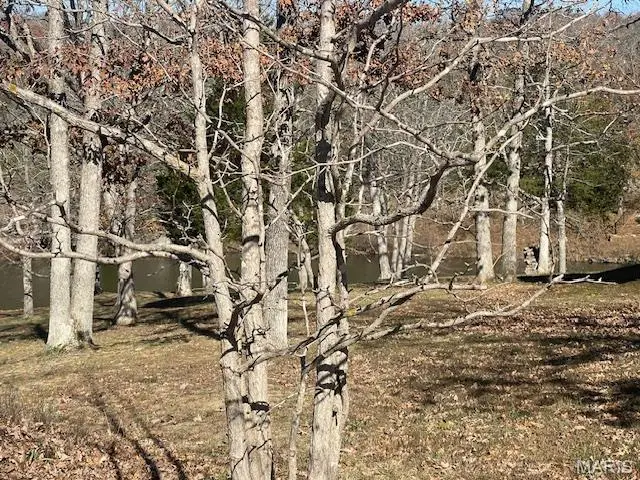 1126 South Deer Trail, Fredericktown, MO 63645 - Image #3