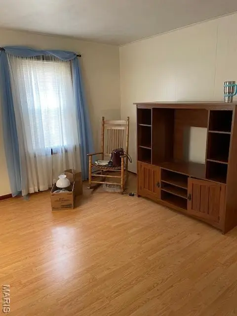 216 S Chestnut Street, Collinsville, IL 62234 - Image #3