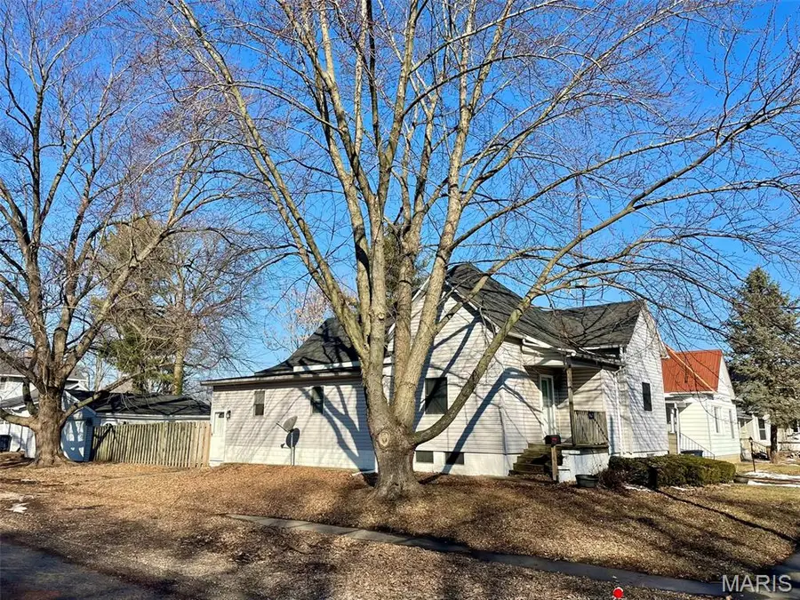 1003 N Monroe Street, Litchfield, IL 62056 - #3