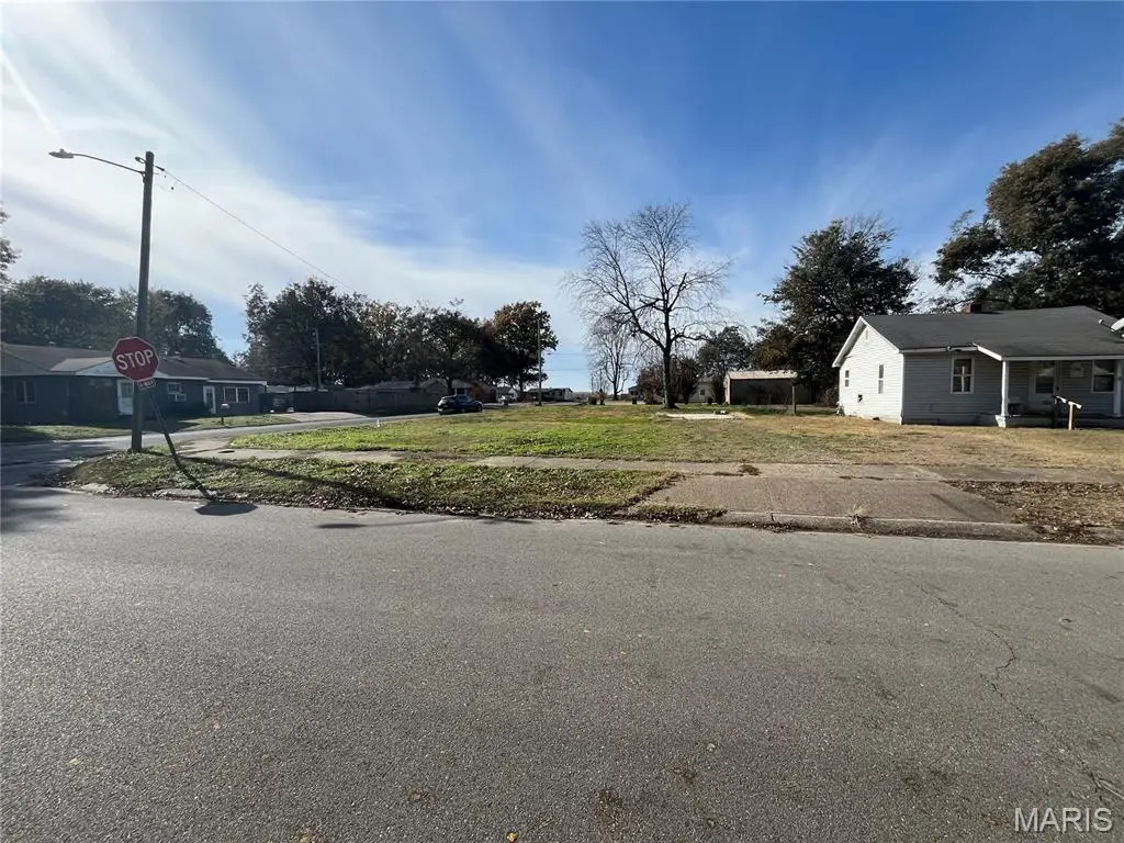 1110 Collins Avenue, Caruthersville, MO 63830 - Image #1