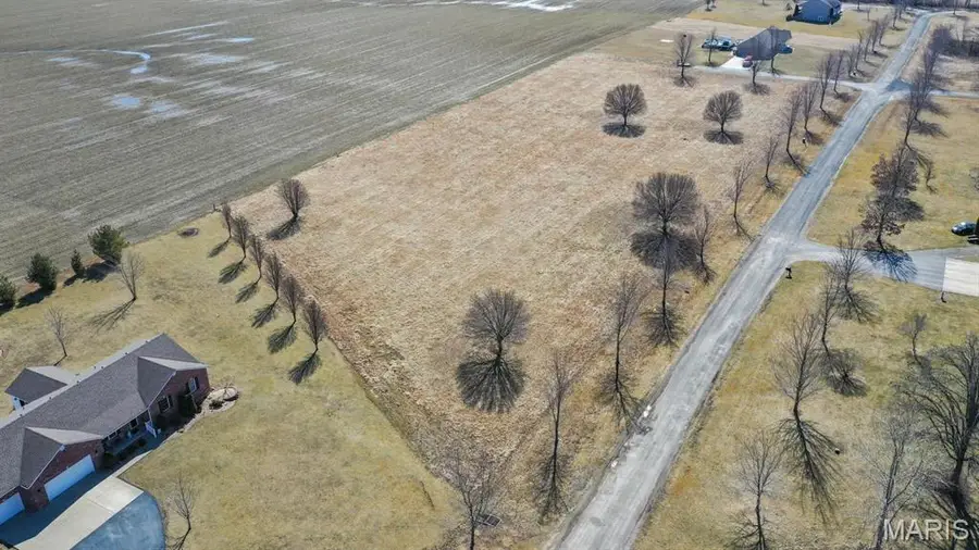 0 Springman, Brighton, IL 62012 - Image #3