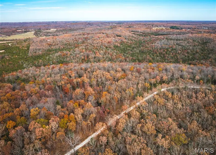 Lot # 2 Private Drive 5294, Rolla, MO 65401 - Image #3