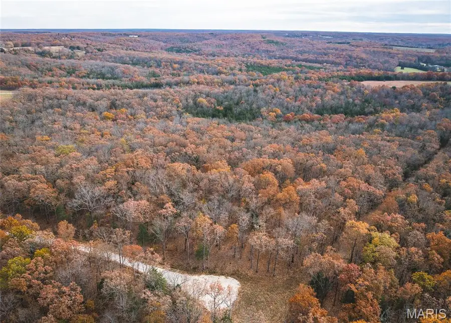 Lot #22 Private Drive 5294, Rolla, MO 65401 - Image #3