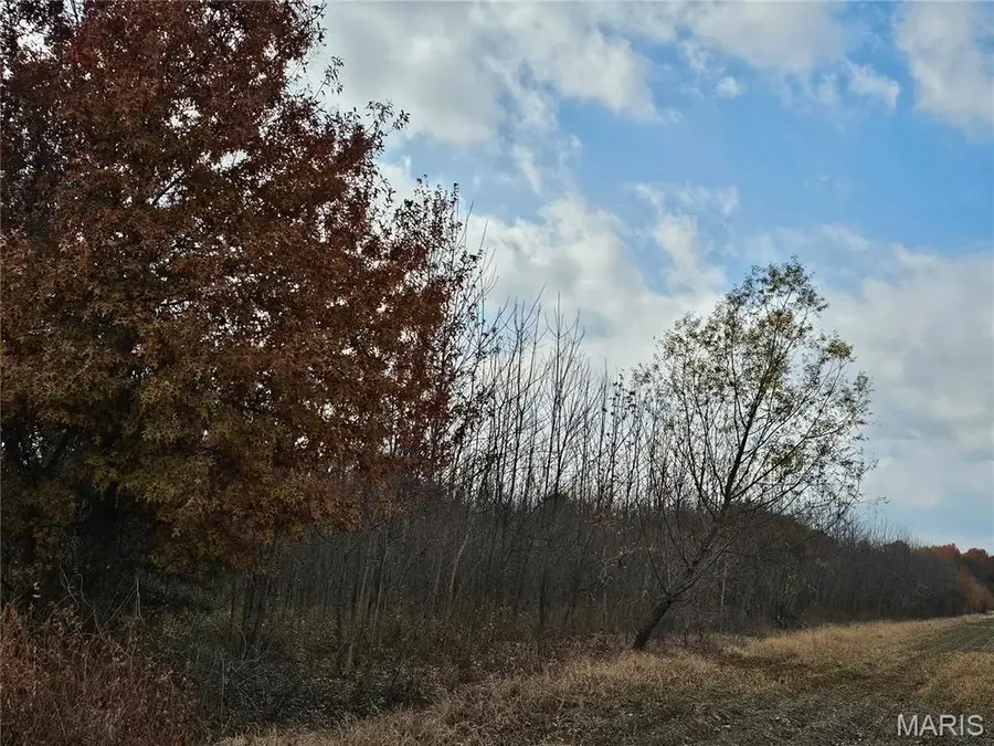 620 County Road, Broseley, MO 63932 - Image #3