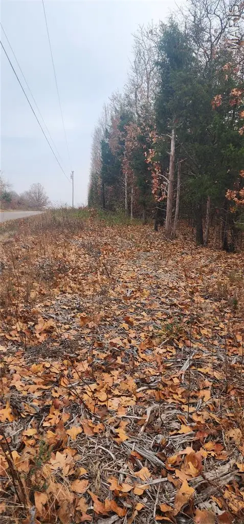 11050 County Road 2220, Rolla, MO 65401 - Image #3