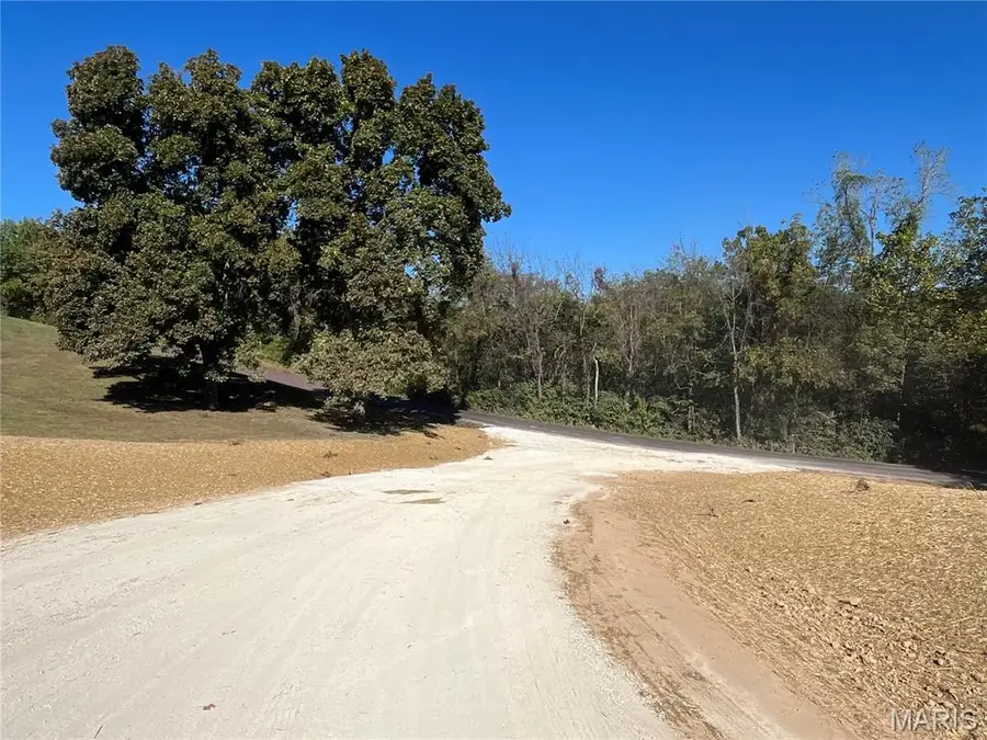 32 (lot 9) Autumn Ridge Drive, Elsberry, MO 63343 - Image #3