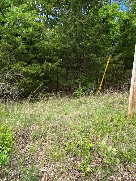 000 Oakdale Circle, Cuba, MO 65453 - Image #3