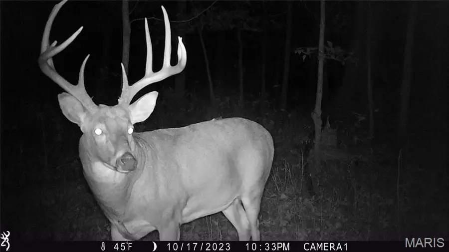 00 Union Grove Avenue, Greenville, IL 62246 - Image #2