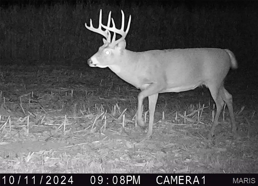 00 Union Grove Avenue, Greenville, IL 62246 - Image #2