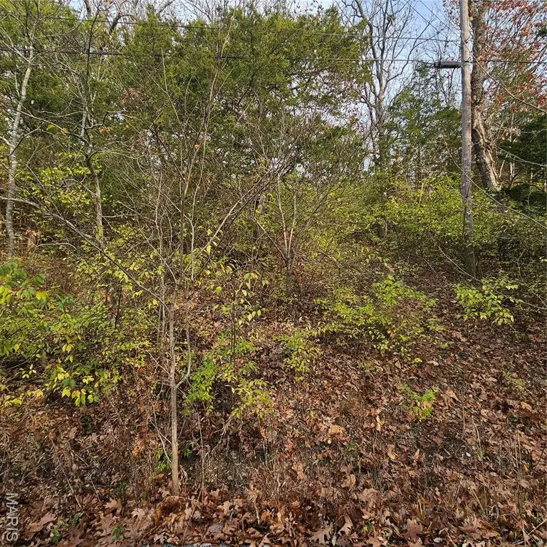 7320 Woodland Drive, Cedar Hill, MO 63016 - Image #3