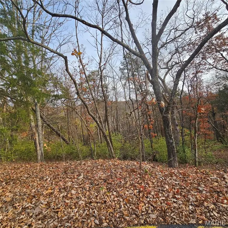 6900 Scenic View Drive, Cedar Hill, MO 63016 - Image #2