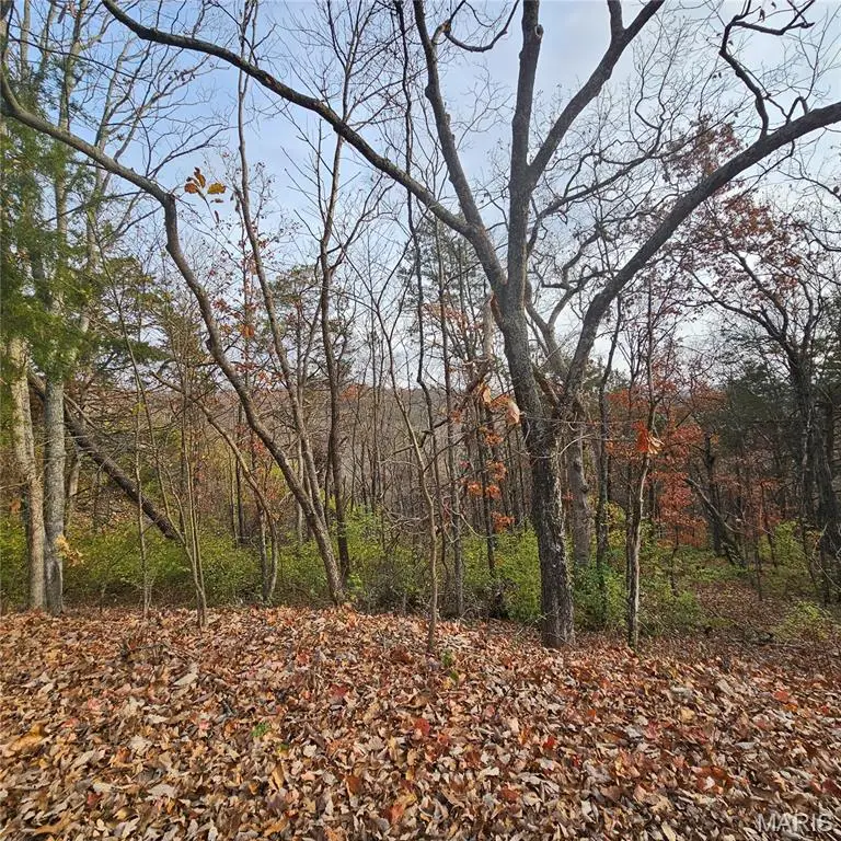 6900 Scenic View Drive, Cedar Hill, MO 63016 - Image #3