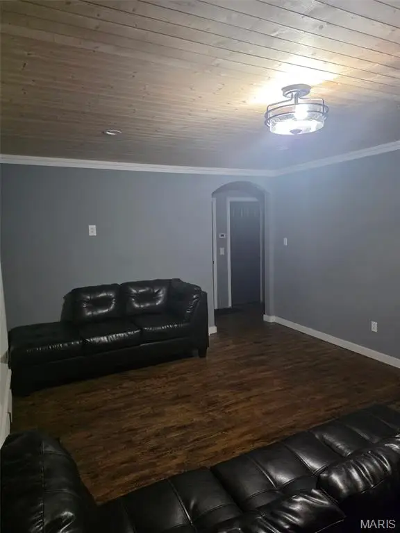 322 S Iron Street, Ironton, MO 63650 - Image #3