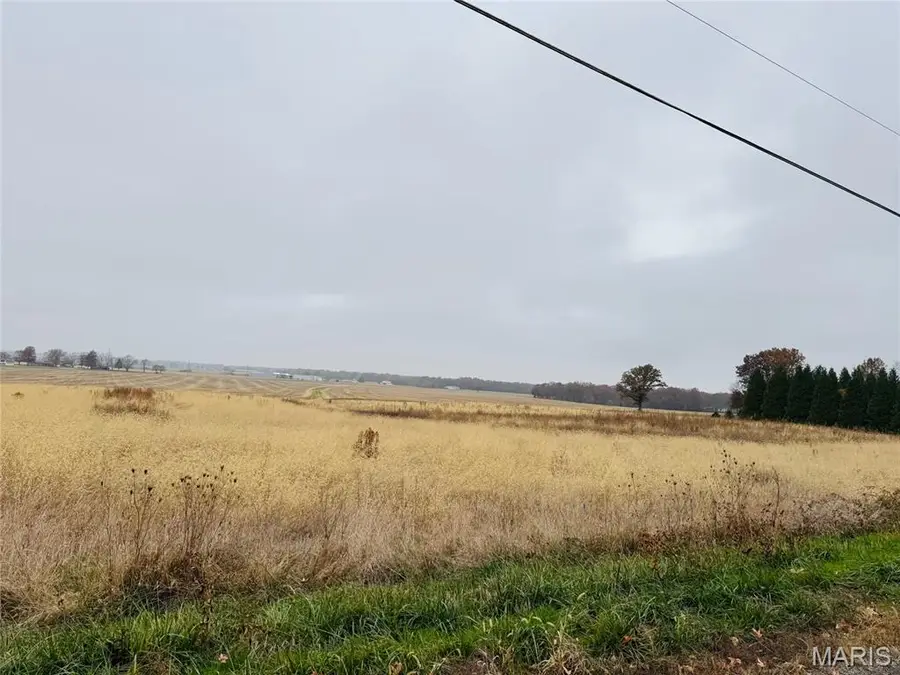 LAKEWOOD DR, Lake Wood Dr, Vandalia, IL 62471 - Image #3