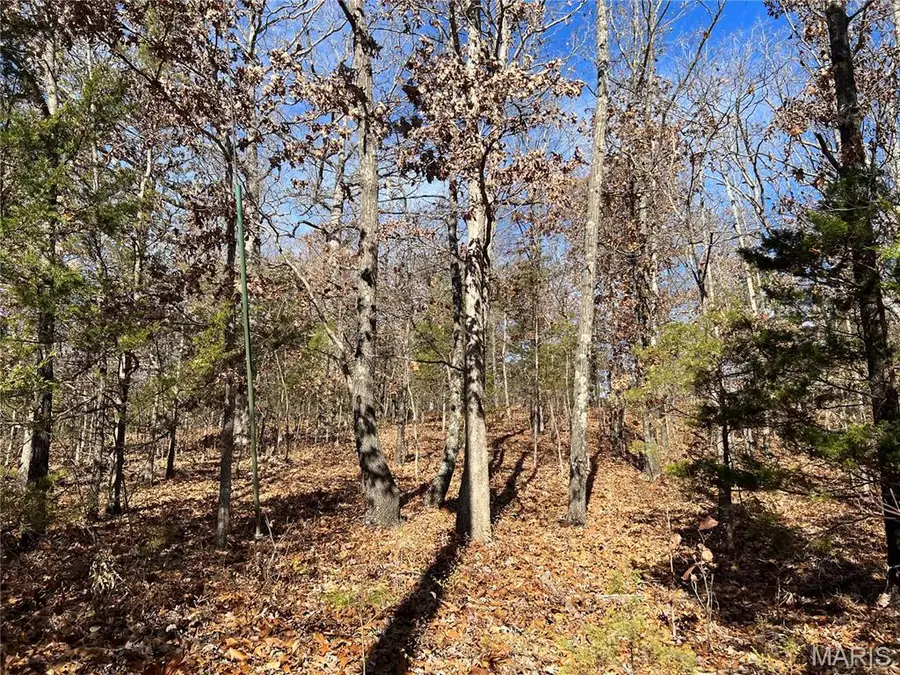 1 Rue Cheryl, Bonne Terre, MO 63628 - Image #2