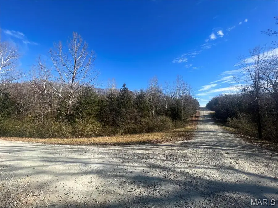 0 Rue De La Paix, Bonne Terre, MO 63628 - Image #2