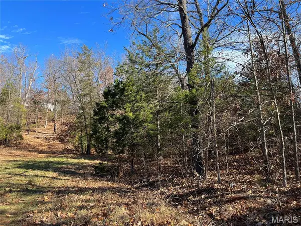 0 Amy Court, Bonne Terre, MO 63628