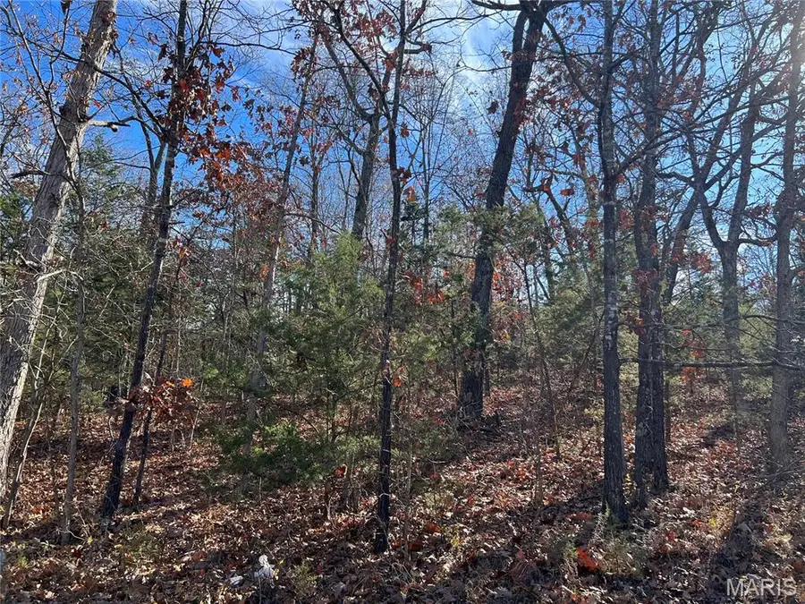 0 Amy Court, Bonne Terre, MO 63628 - Image #3