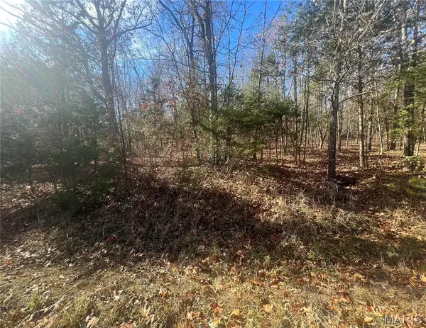 0 Mimeaux Court, Bonne Terre, MO 63628