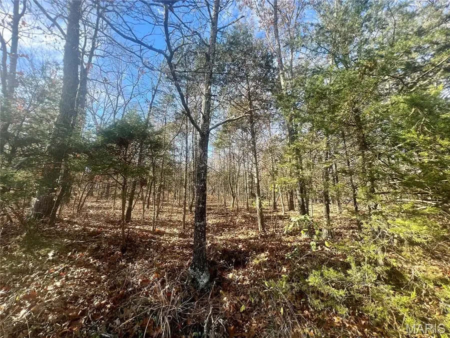 0 Mimeaux Court, Bonne Terre, MO 63628 - Image #3