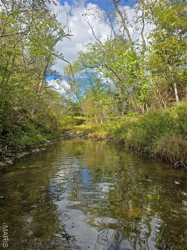 30 Acres Highway E, Cadet, MO 63630