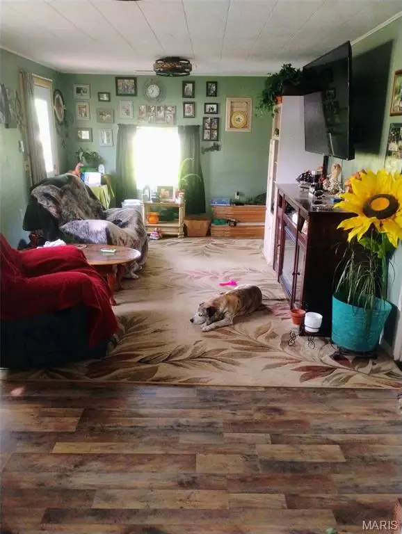 479 Oak Hill Drive, Houston, MO 65483 - Image #3