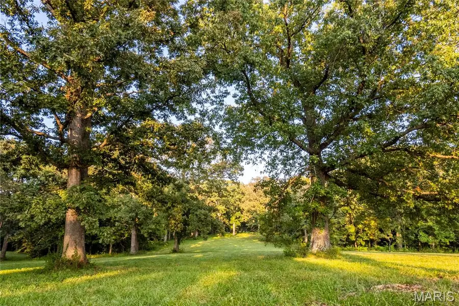 0 Highway D - Tract 9 (24.7+/- Acres), Eolia, MO 63344 - Image #2