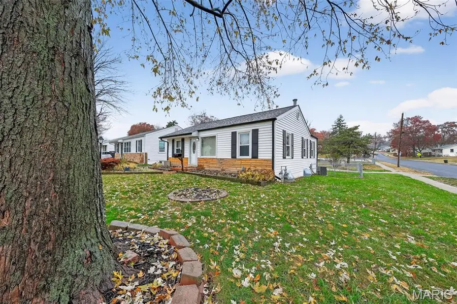 9623 Theodosia Avenue, Saint Louis, MO 63114 - Image #3