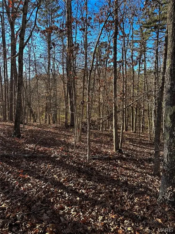 000 State Highway O, Grandin, MO 63943 - Image #3