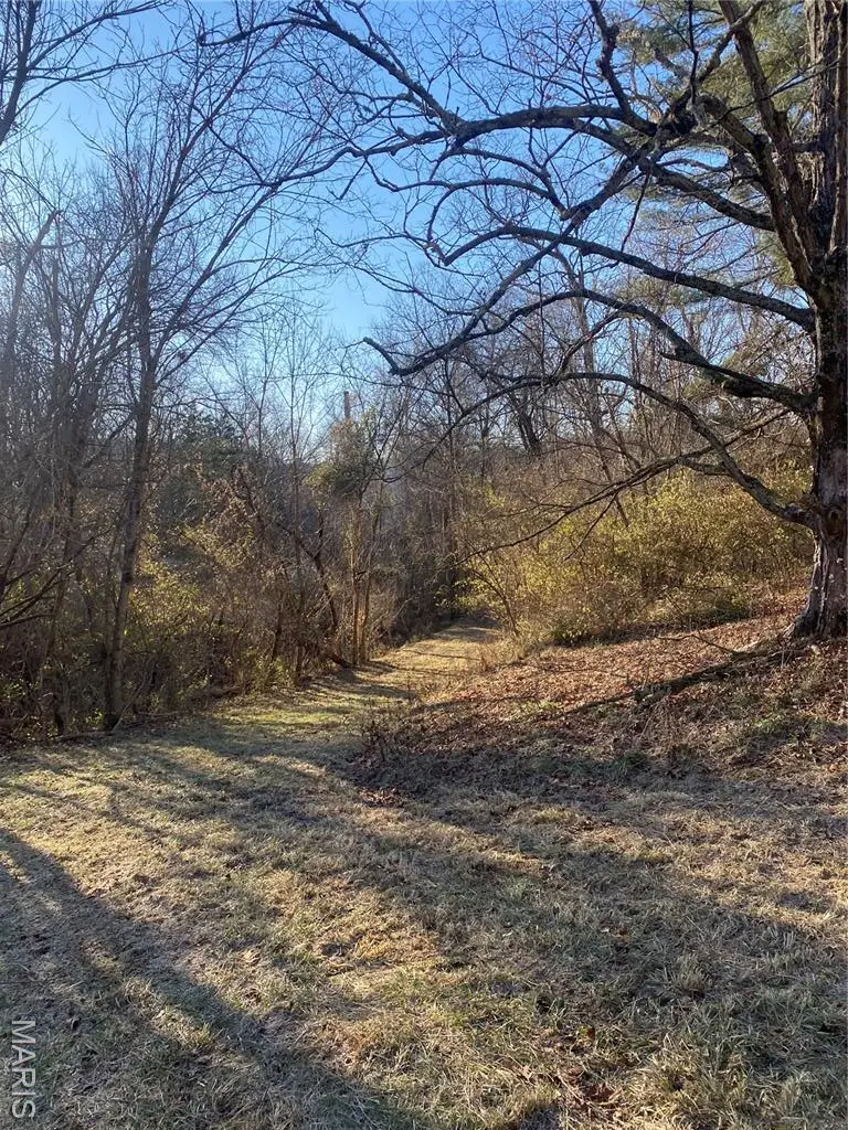 18715 Bartold Lane, Wildwood, MO 63069 - Image #2