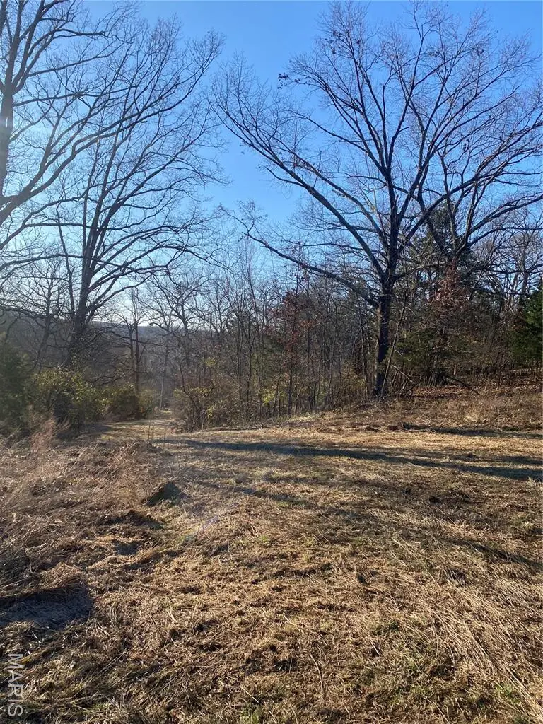 18715 Bartold Lane, Wildwood, MO 63069 - Image #3