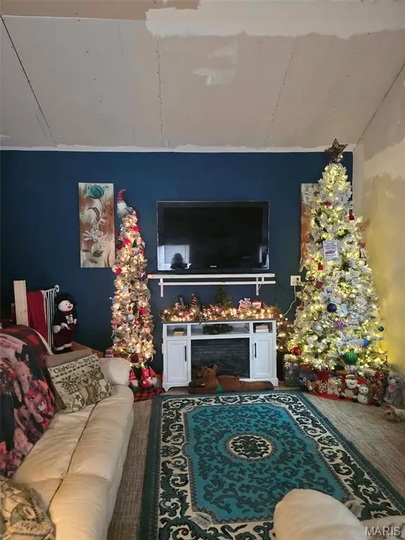 622 Francis Street, Gillespie, IL 62033 - Image #2