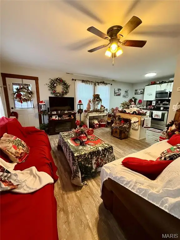 321 2nd Street, East Prairie, MO 63845 - Image #2