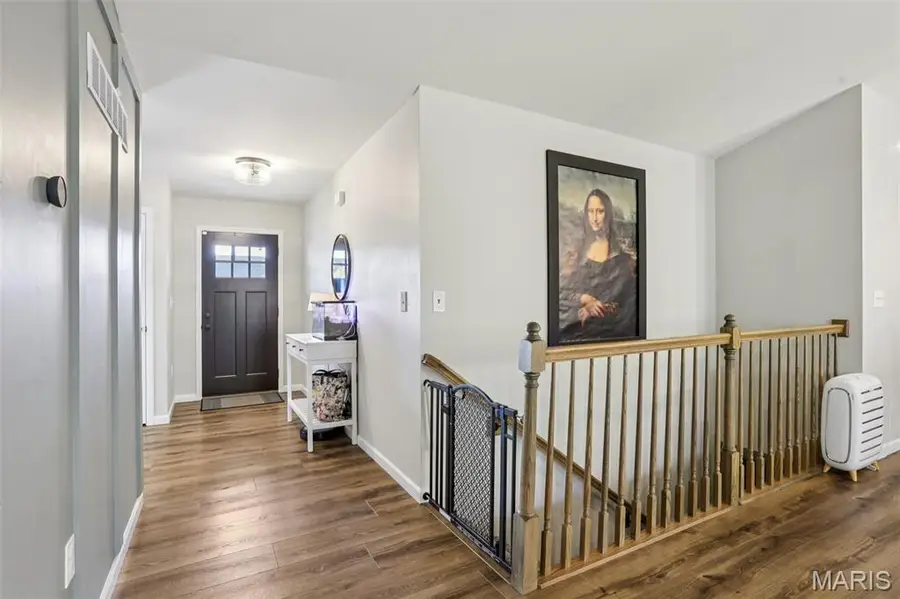 337 Andy Habsieger Street, Festus, MO 63028 - Image #3