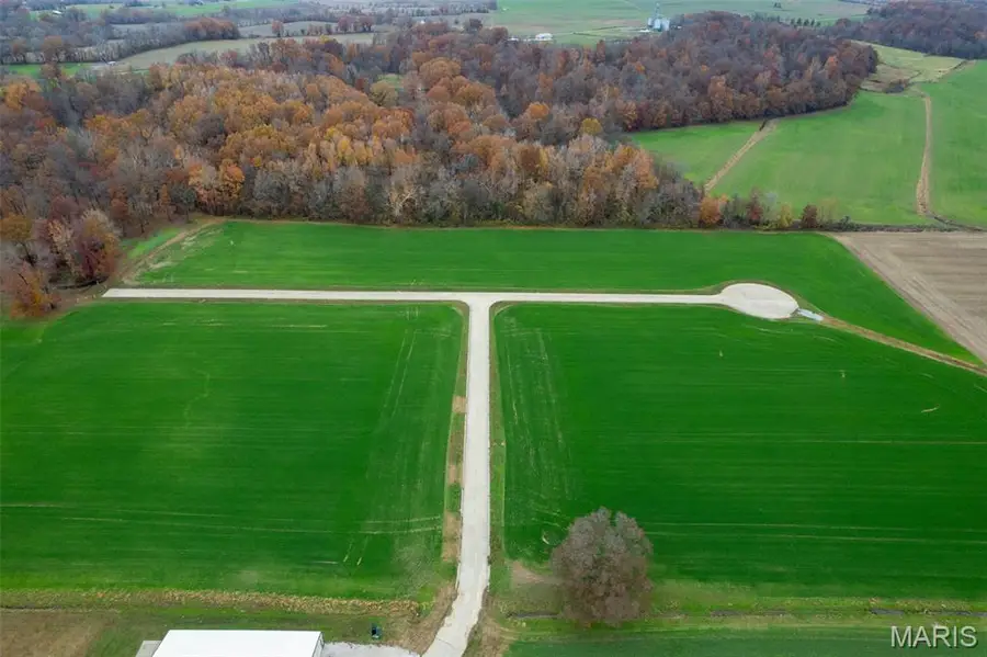 225 Ervin L Dumey Drive, Benton, MO 63736 - Image #3