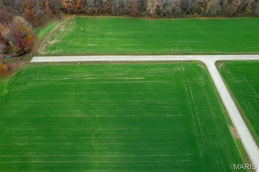 425 Bertha E Dumey Drive, Benton, MO 63736 - Image #2