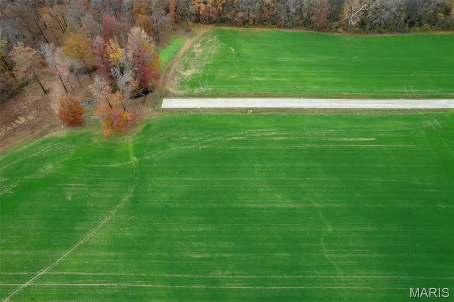 435 Bertha E Dumey Drive, Benton, MO 63736 - Image #2