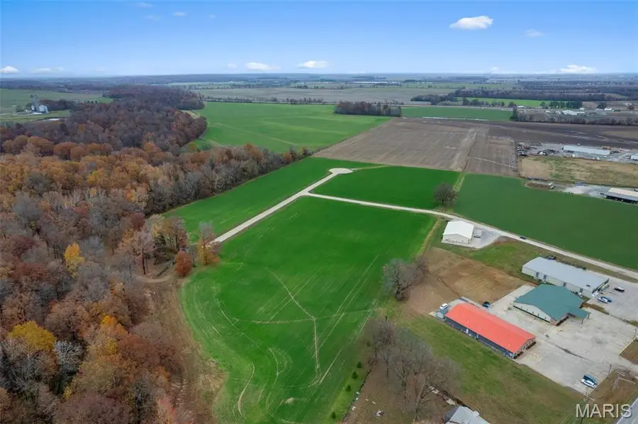 435 Bertha E Dumey Drive, Benton, MO 63736 - Image #3