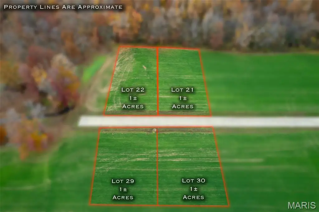 420 Bertha E Dumey Drive, Benton, MO 63736 - Image #1