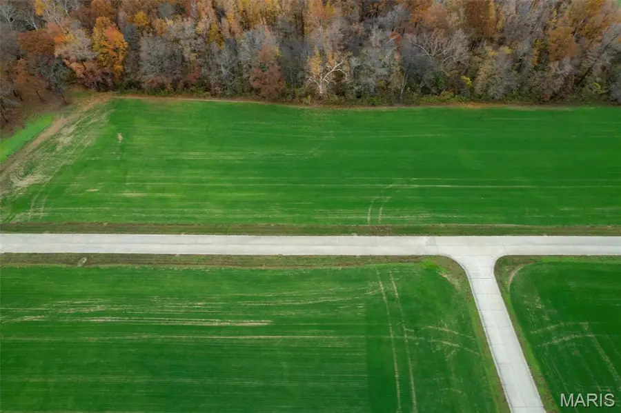 420 Bertha E Dumey Drive, Benton, MO 63736 - Image #2