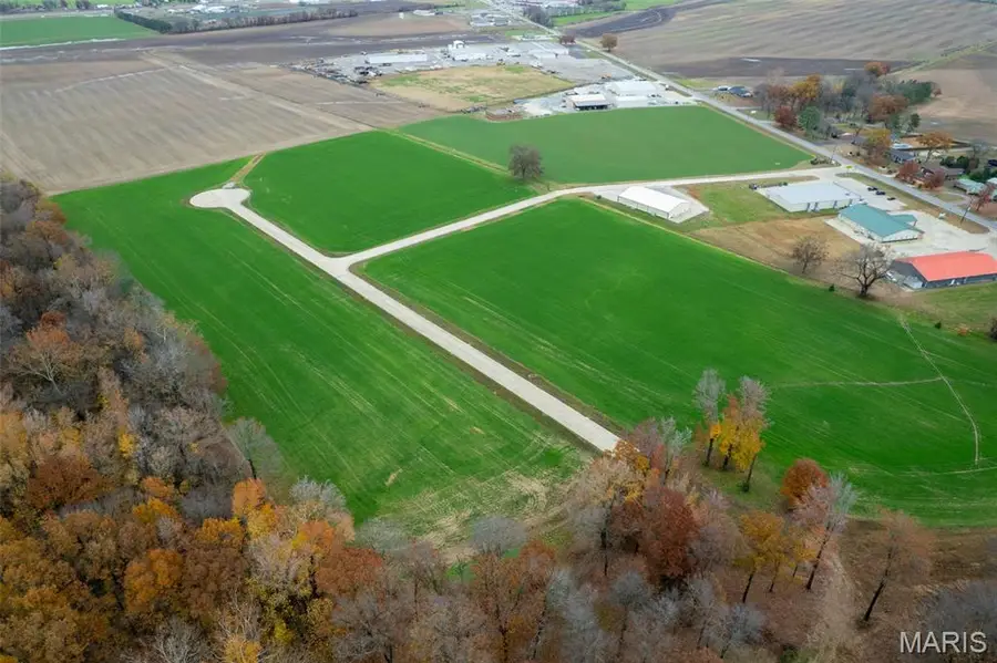 420 Bertha E Dumey Drive, Benton, MO 63736 - Image #3